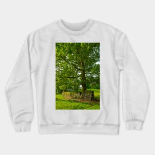 Tree with Dry Stone Wall Crewneck Sweatshirt